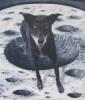 Moondoggy's Avatar